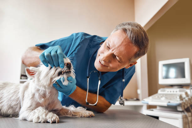 Best Emergency Tooth Extraction in Pembroke Park, FL